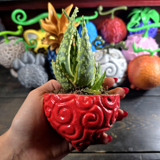 Anime-Inspired Devil Fruit (Akuma no Mi) Plant Holder